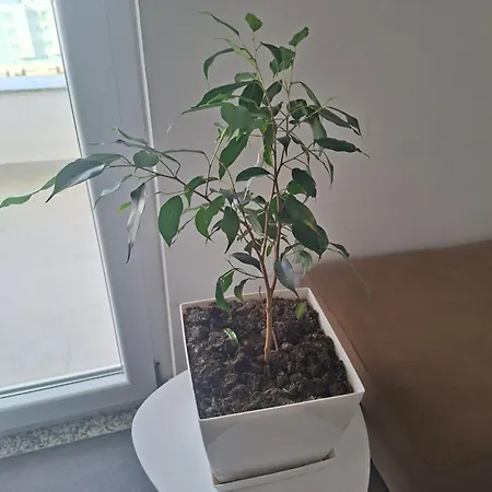 Apartment Kevin&elisa Your Home! Lezhe