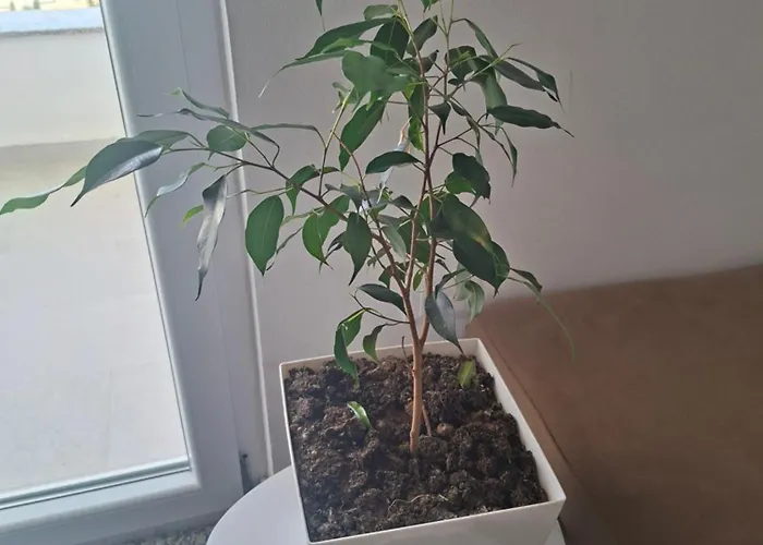 Apartment Kevin&elisa Your Home! Lezhe